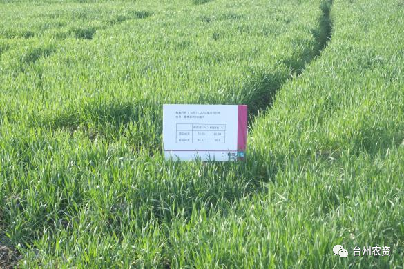 1677737180318220.png 640 (75).png