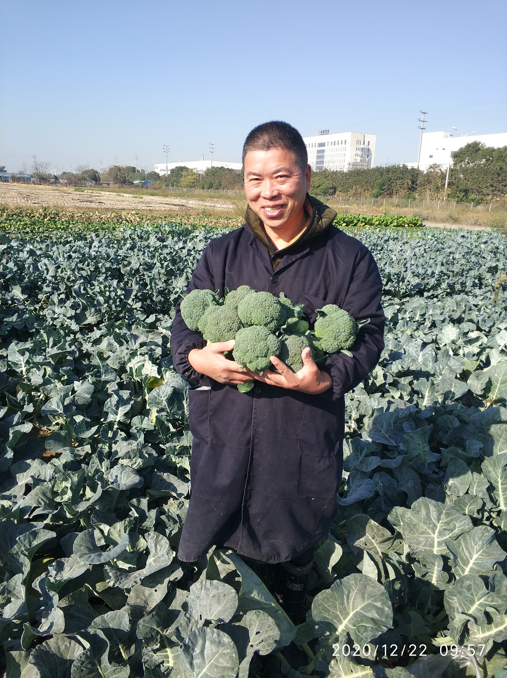 臺州農(nóng)資 臺州農(nóng)資