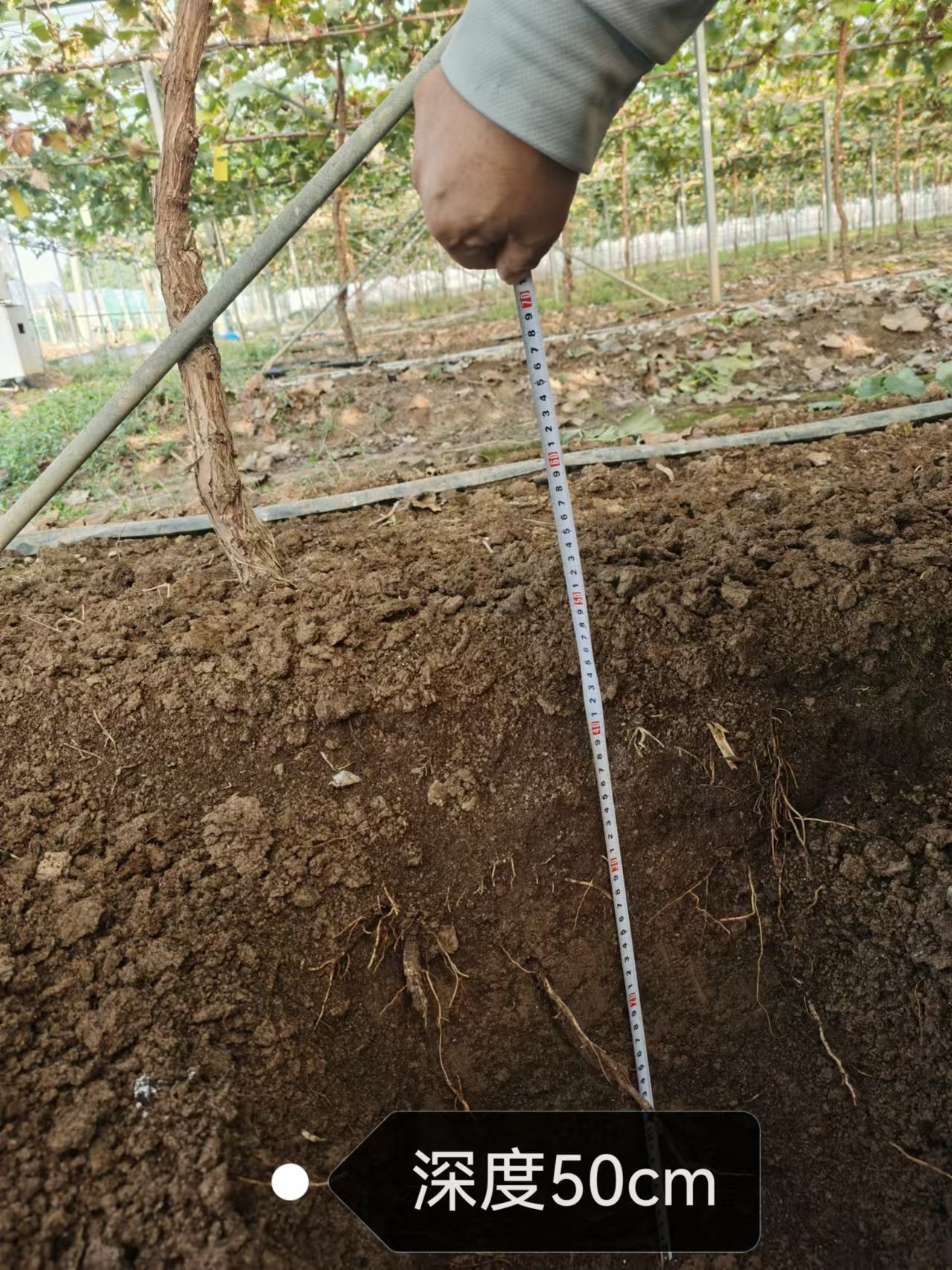 1725326174128234.jpg 1725326174128234.jpg