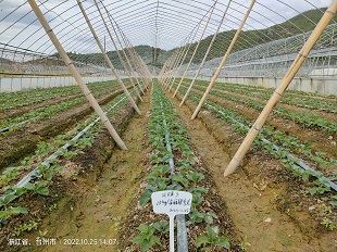 臺州農資 臺州農資